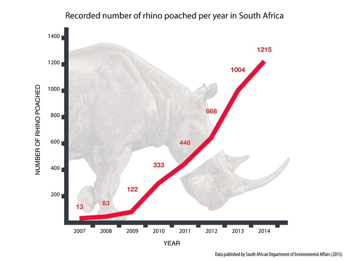 Could printing synthetic GMO rhino horns help save real rhinos from  extinction?