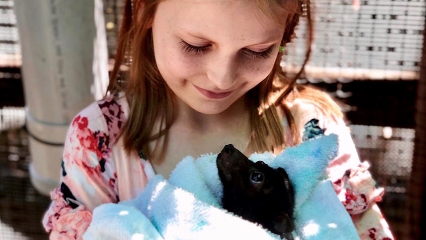 Girl holds orphaned bat in her arms.