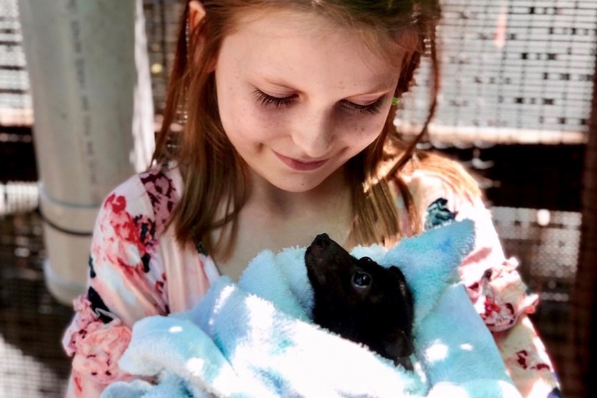 Girl holds orphaned bat in her arms.