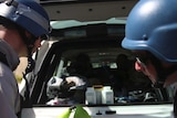 Chemical weapons experts put samples in their car