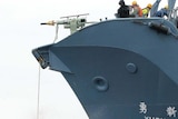 Australia challenges Japanese whaling at the Hague