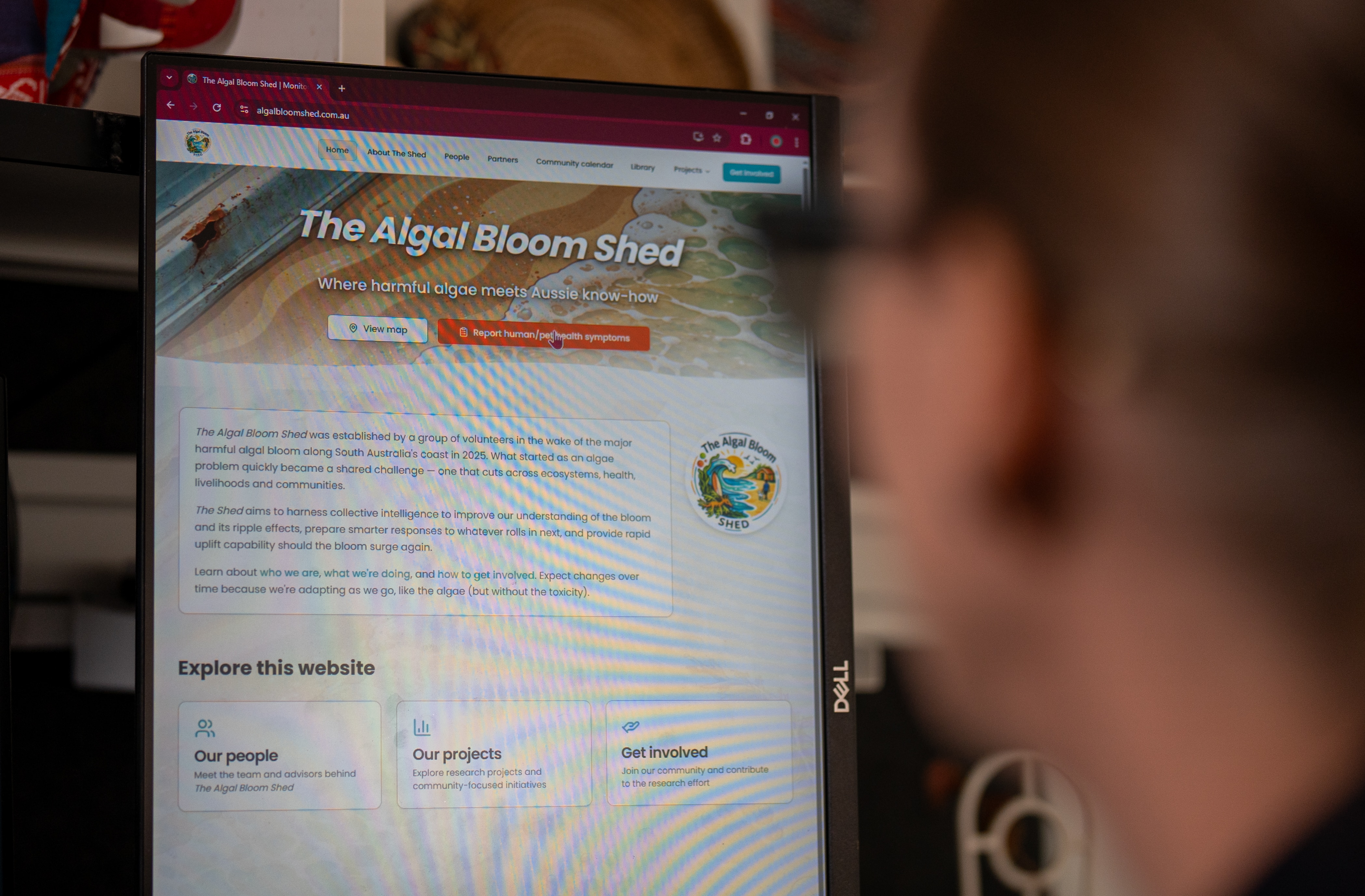 Flinders University Professor Jacqueline Stephens looks over the Algal Bloom website.