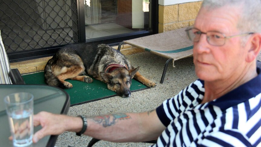 Turk relaxes at the home of his former handler, Corporal Bruce Ross.