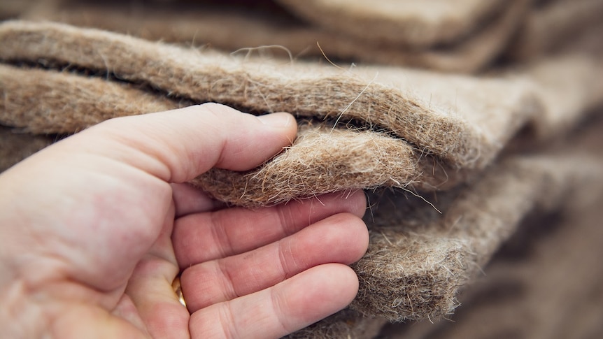 A layer of brown and white insultation made from wool is shown close up to the camera.