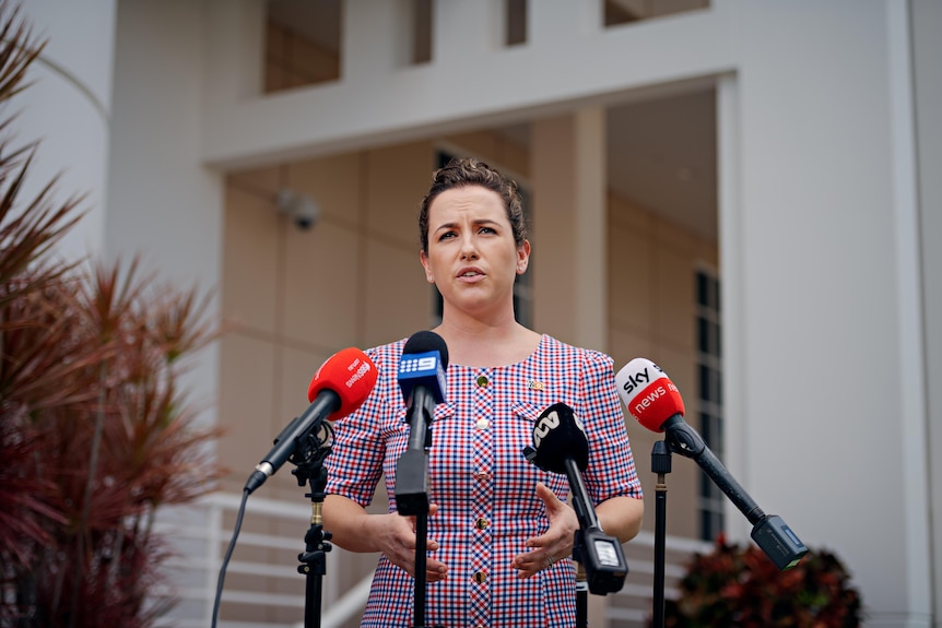 Politician stands in front of parliament in from of media microphones and talks to press