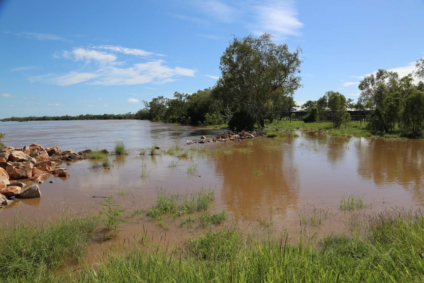 Brown water from the Fitzroy River overflowing on the banks of the waterway with trees and a building in the background.