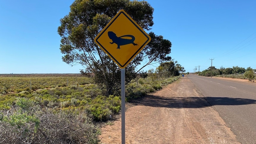 A yellow road sign with a picture of a lizard on it, beside a wide road, blue skies, trees on the side of the street.