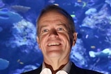 Bill Shorten, lit from below, grins in front of a large pane of glass separating him from schools of fish swimming behind him