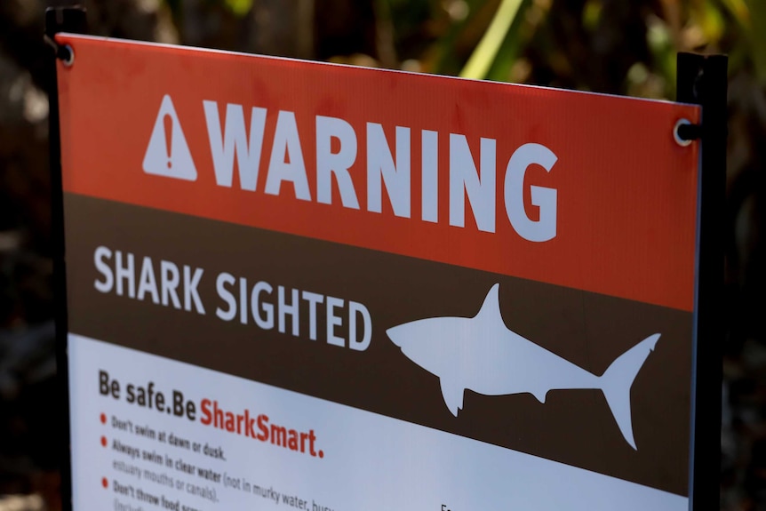 A red, black and white sign reads 'warning: shark sighted'