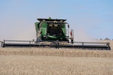 A grain harvest underway, a large header kicks up dust as it moves through the dried cereal paddock.