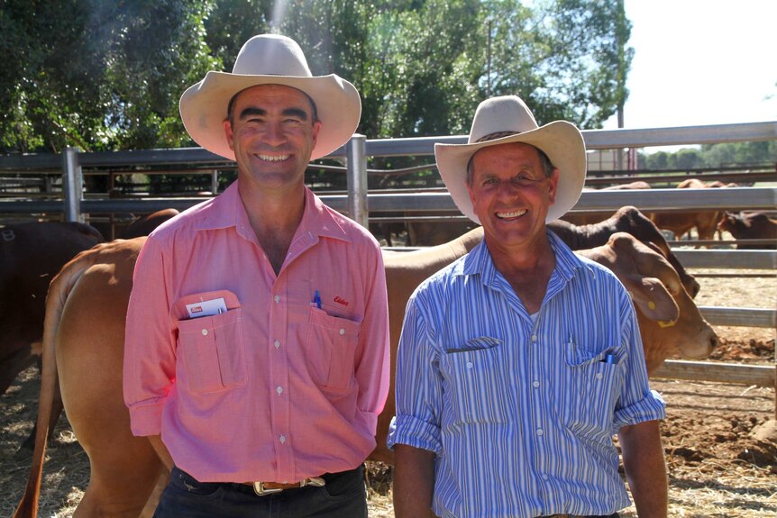 Alice Springs livestock agent, Michael Newman and Andy Hayes from The Garden station at the Artesian Droughtmaster sale.