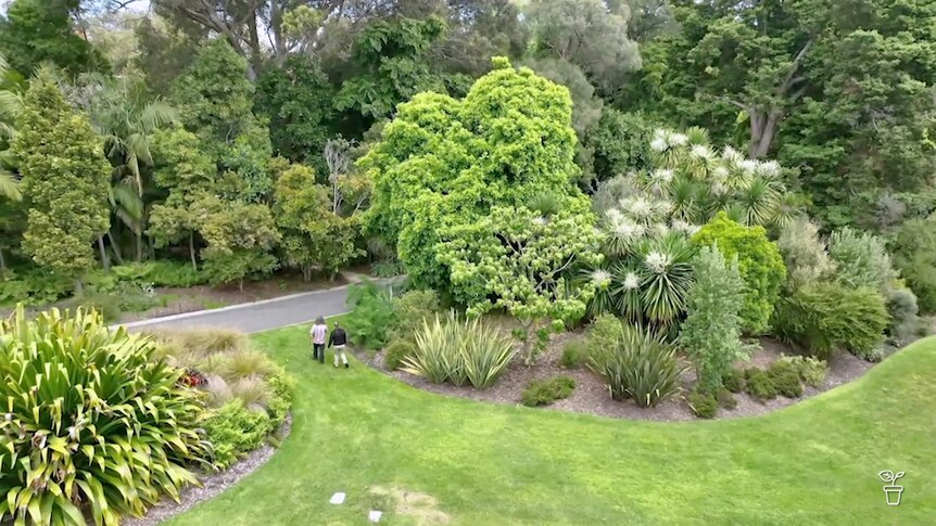 Aerial view of large park gardens.