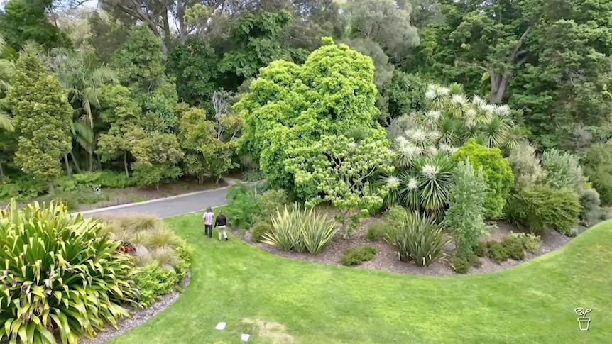 Aerial view of large park gardens.