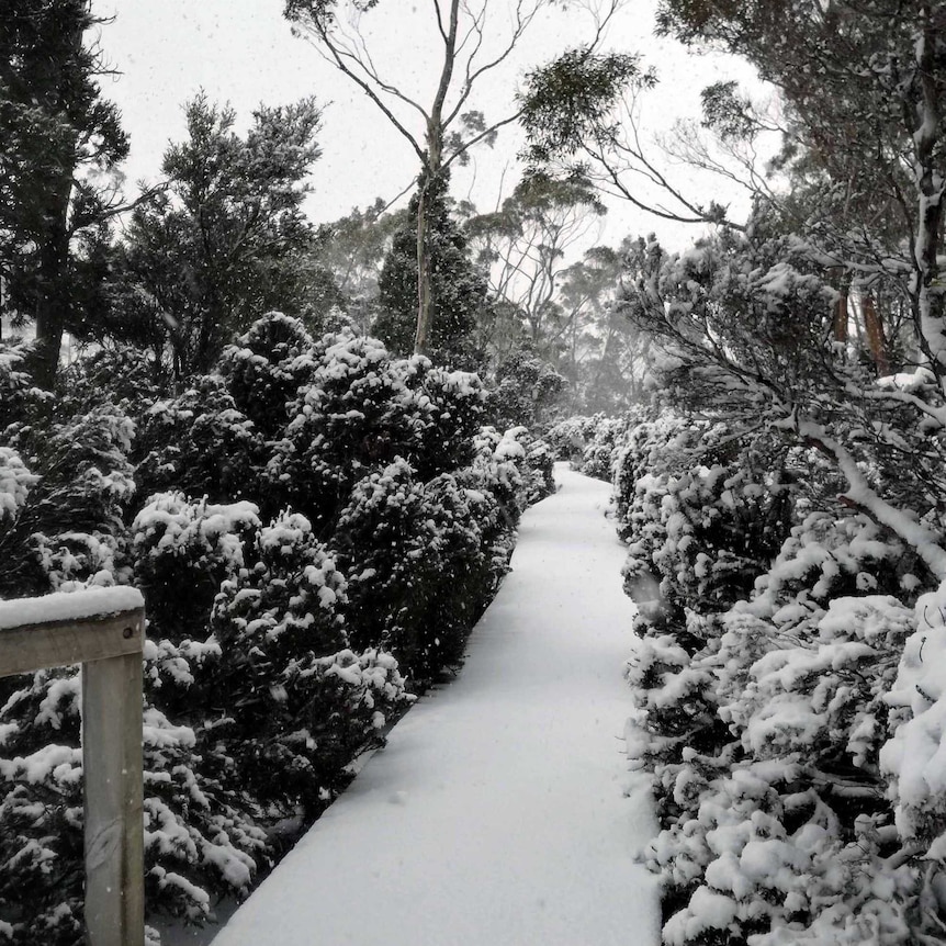 Snow covers a walkway at Lake Dobson