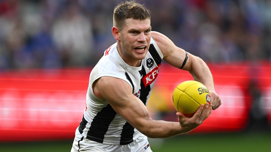 Magpies vice-captain Taylor Adams ruled out of AFL preliminary final due to  injury - ABC News