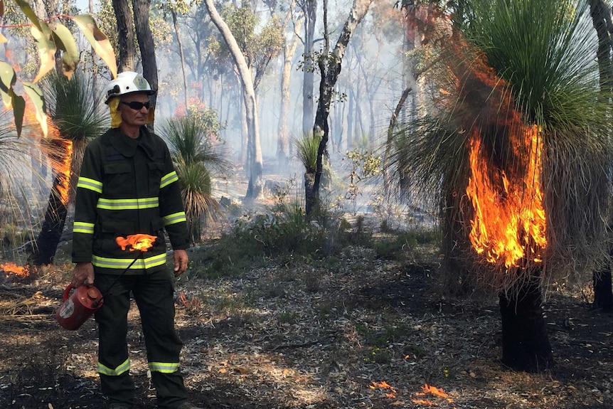 Fire crews conduct a prescribed burn