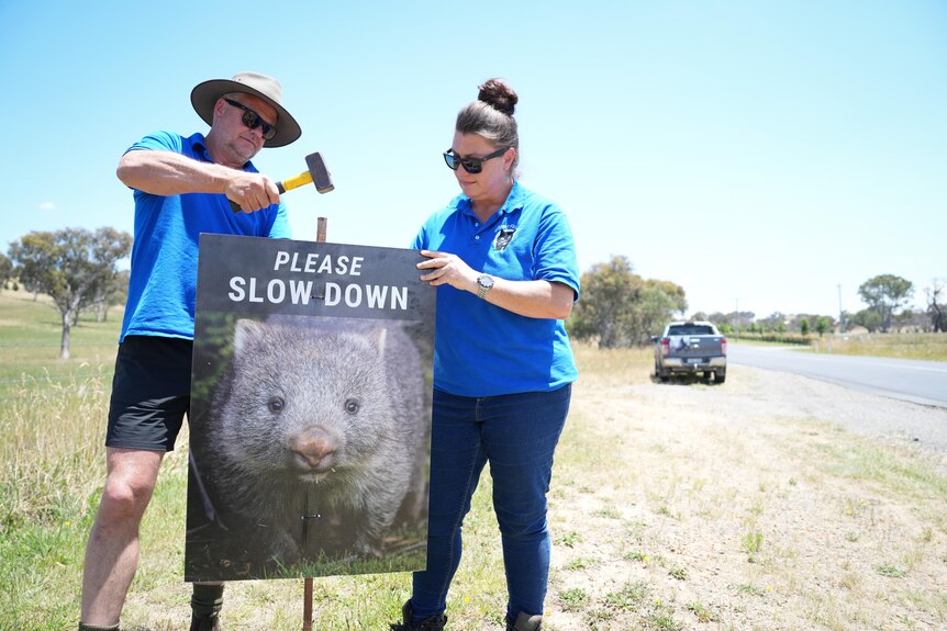 A man and a woman in blue polo shirts hammer in a roadside sign that says 'please slow down' and has a photo of a wombat.