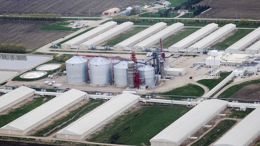 Egg-producing chicken farm in Harris, Iowa on April 23, 2014