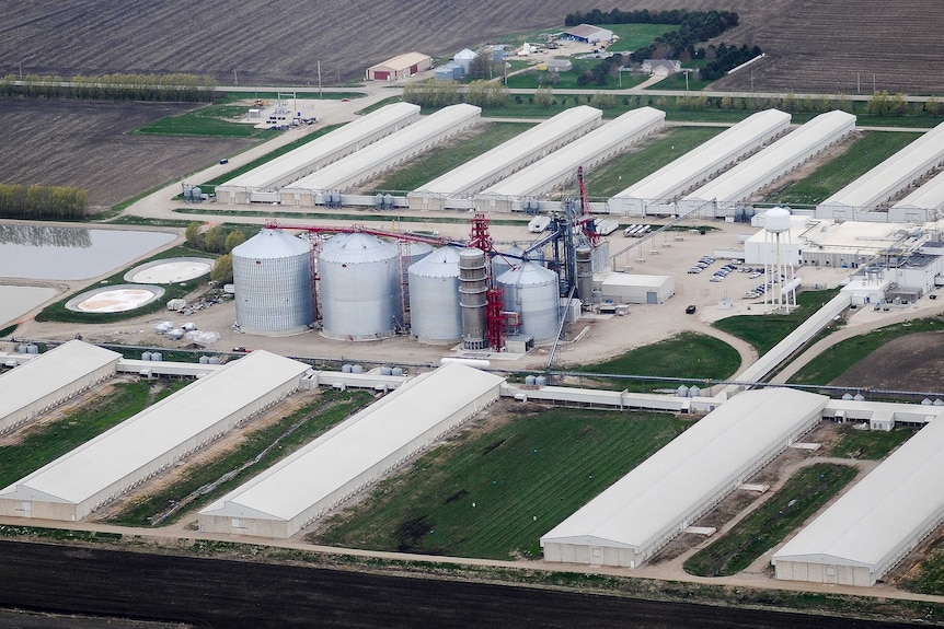 Egg-producing chicken farm in Harris, Iowa on April 23, 2014