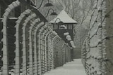 Auschwitz perimeter fence