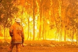 Firefighter standing in front of wall of fire