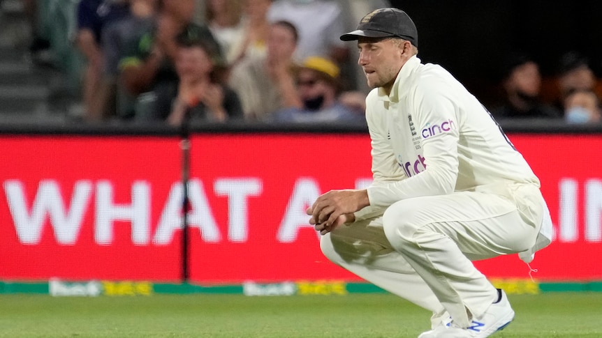 An English male cricketer crouches during second Ashes Test in Adelaide.
