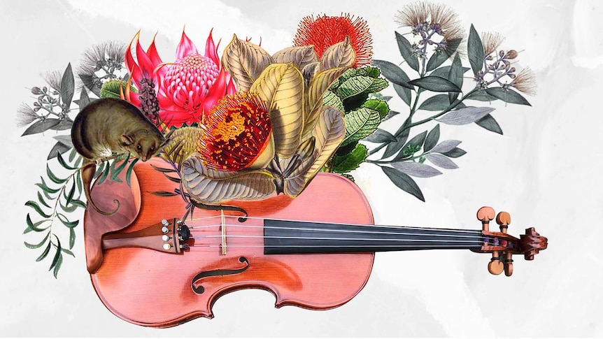 Illustrated Australian native plants emerge from a violin. A possum sits on the side of the instrument.