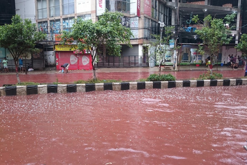 Blood red floodwaters in Dhaka streets