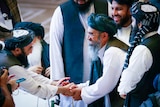 A group of men with beards, dressing in pakol hats, grinning and shaking hands 