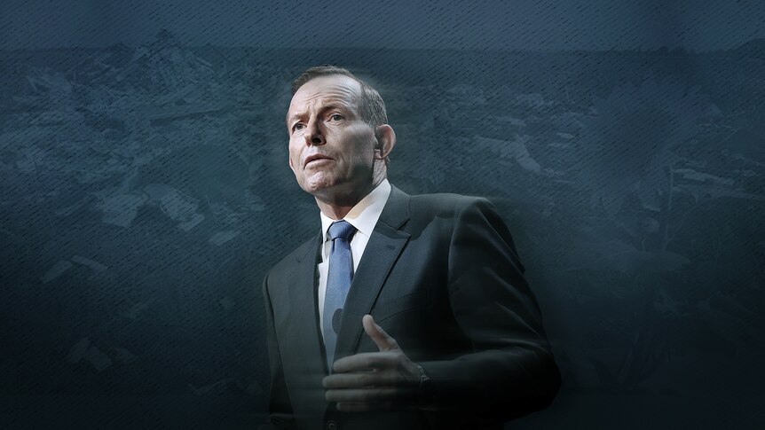 A designed image showing Tony Abbott in front of an image of the MH17 crash site.