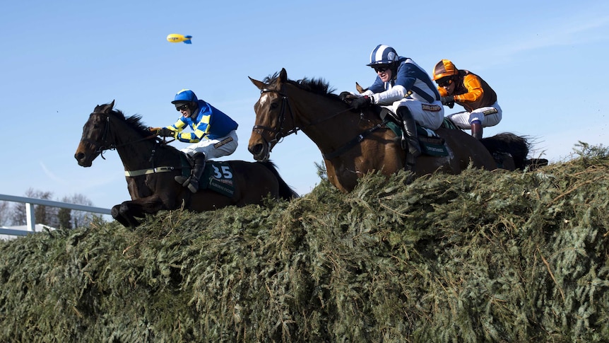 Winner Auroras Encore (L) and Teaforthree (R) jump the last in the Grand National steeplechase.