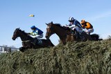 Winner Auroras Encore (L) and Teaforthree (R) jump the last in the Grand National steeplechase.