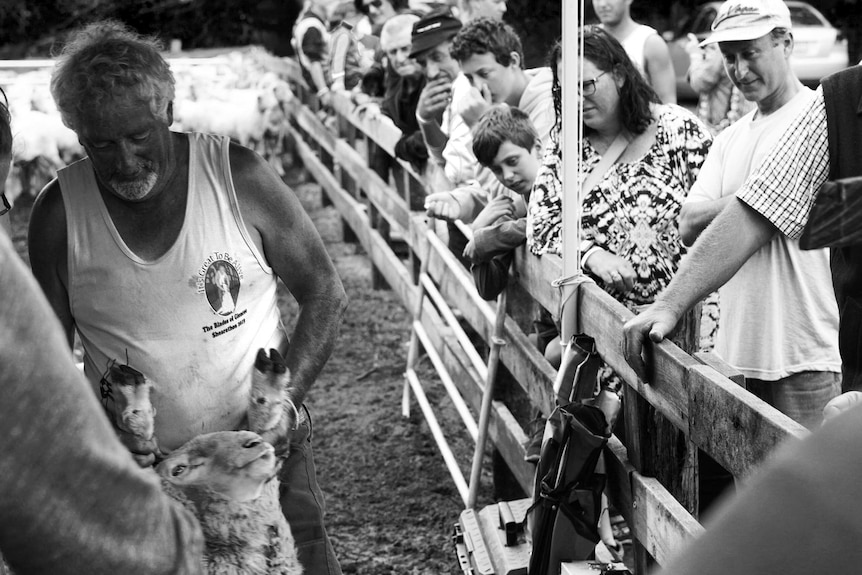 A black and white photo of a man holding a sheep for shearing while a crowd watches over a wooden fence.