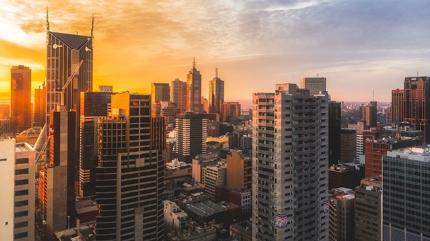 Photo of the city sky line 