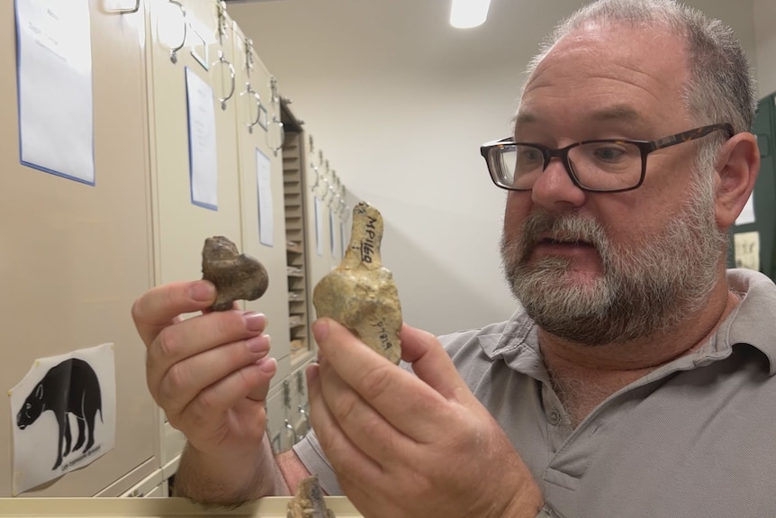 A man with glasses holds two fossils.