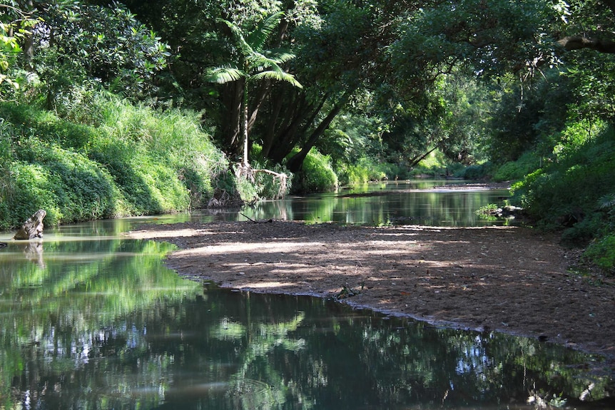 Water in the Kedron Brook