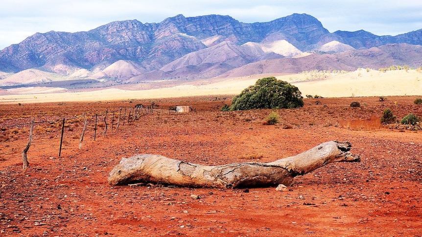 Red desert, fence, shrubs, mountains in background.