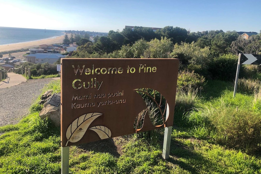 A sign with the words "welcome to Pine Gully"