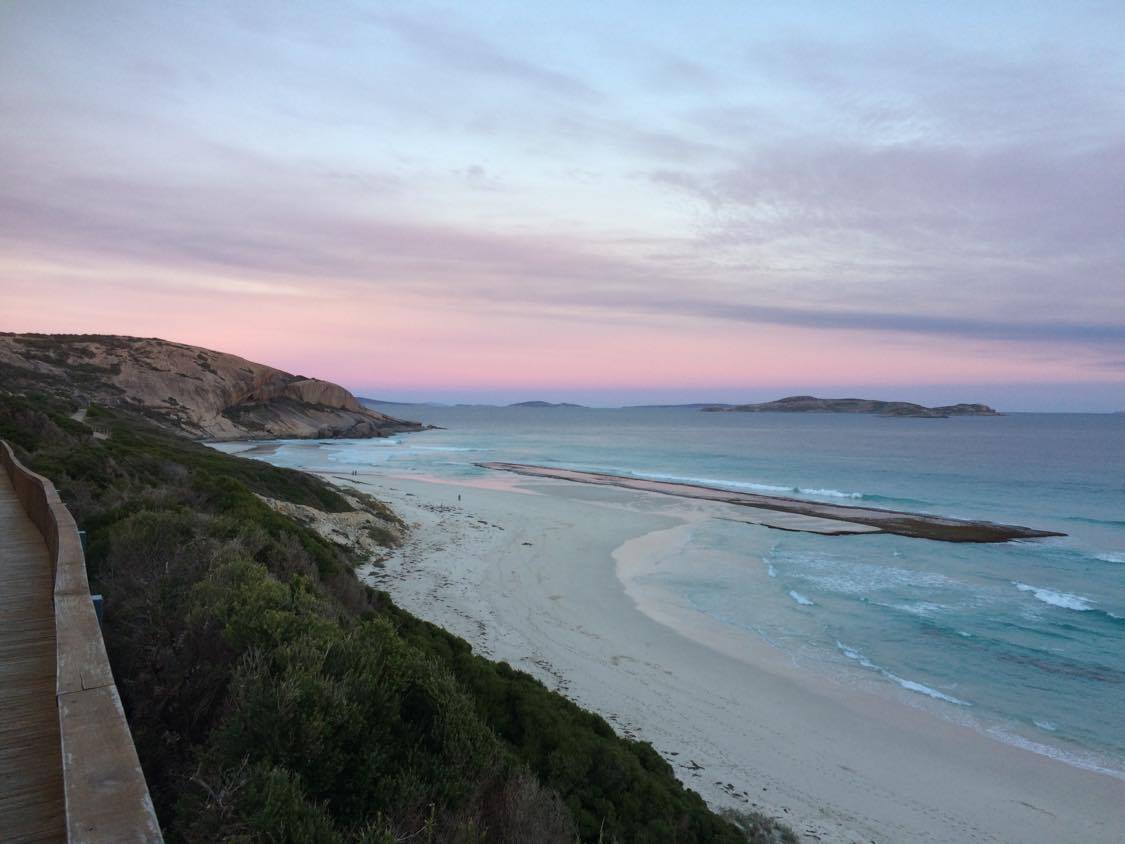 Esperance surfers call for urgent action on shark control after another