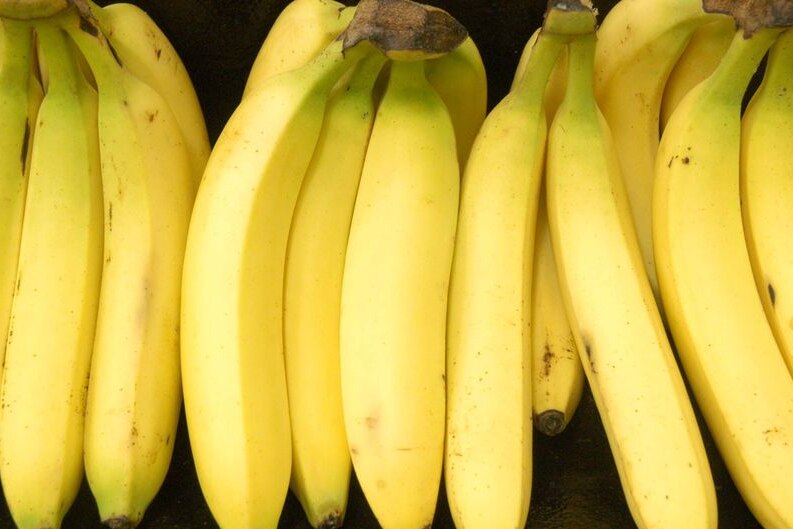 Mr Williams said he was optimistic for the future of the banana industry in Northern Australia.