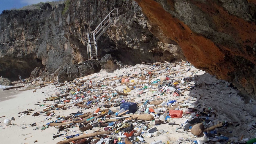 Plastic and other debris on a beach.