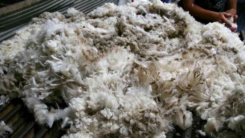 File photo: Wool on the skirting table