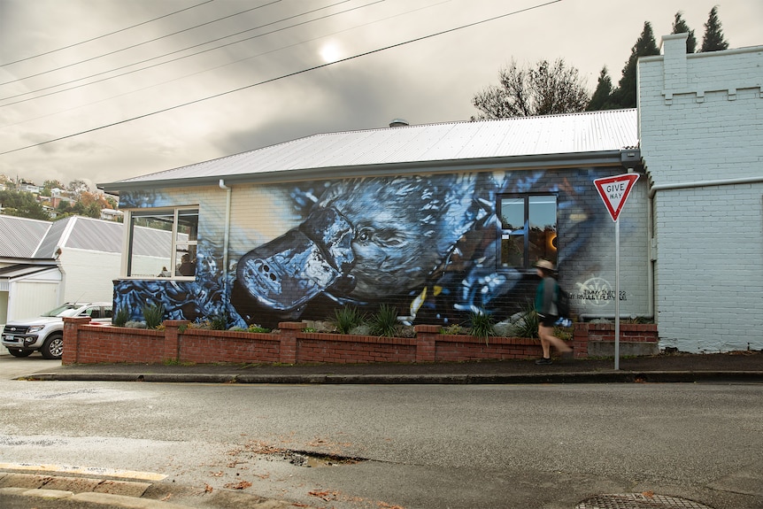 A person walks by large painted mural close-up of a platypus on side of one-storey brick building near a wet road on cloudy day.