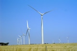 A field of wind turbines.