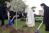 Religious and world leaders plant an olive tree saplingafter a prayer meeting at the Vatican.
