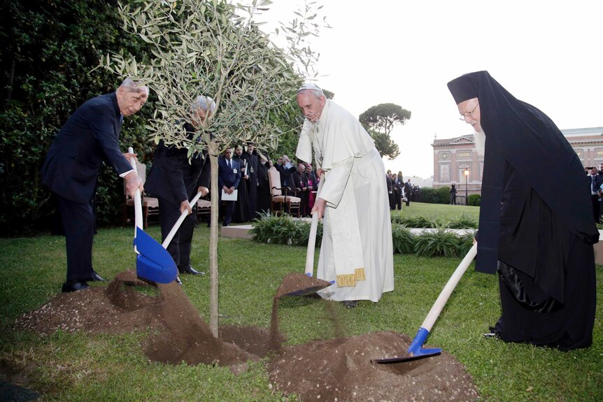 Religious and world leaders plant an olive tree saplingafter a prayer meeting at the Vatican.