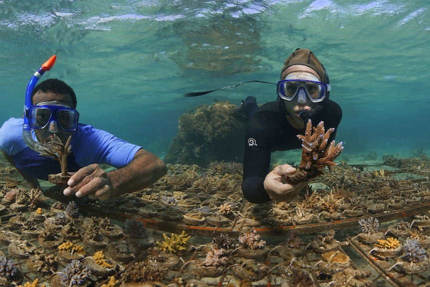 Two men wearing dive equipment swim underwater across a rusted brown coloured metal device 