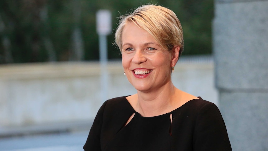 Tanya Plibersek smiles widely at the camera