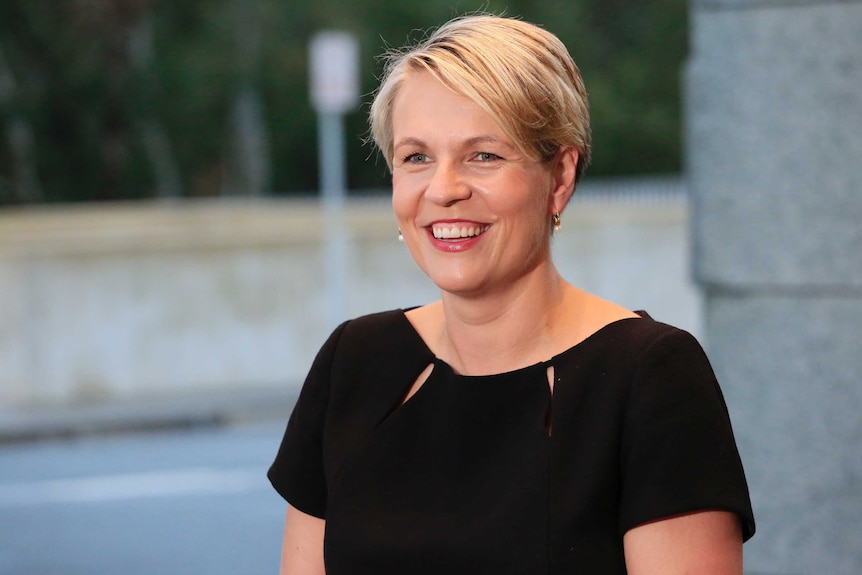 Tanya Plibersek smiles widely at the camera