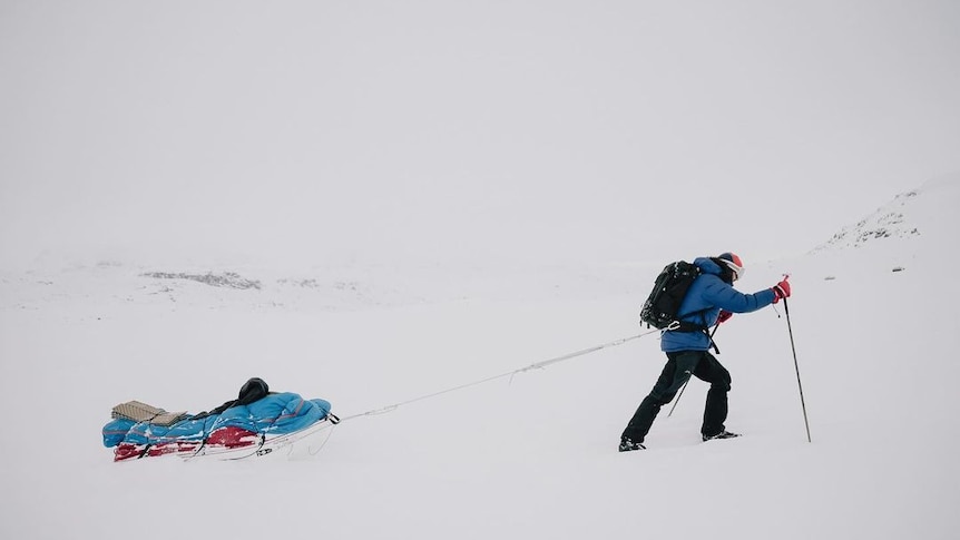 A man wearing a blue jacket skis through snow pulling a sled.